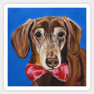 Chip the Doxie Gent Sticker